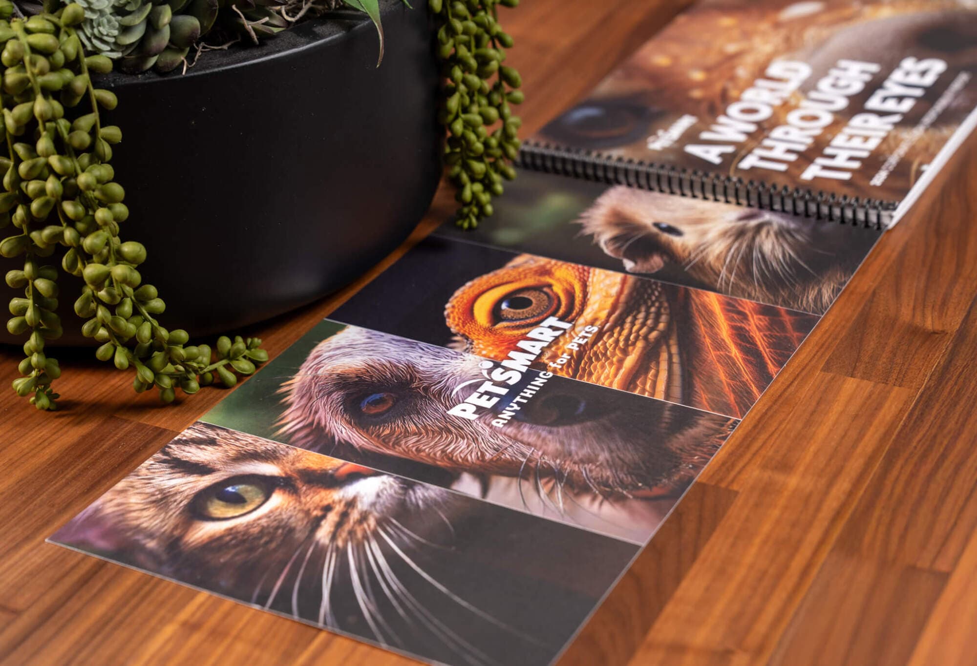 PetSmart’s CSR Report: Crafting a Story of Impact — PetSmart