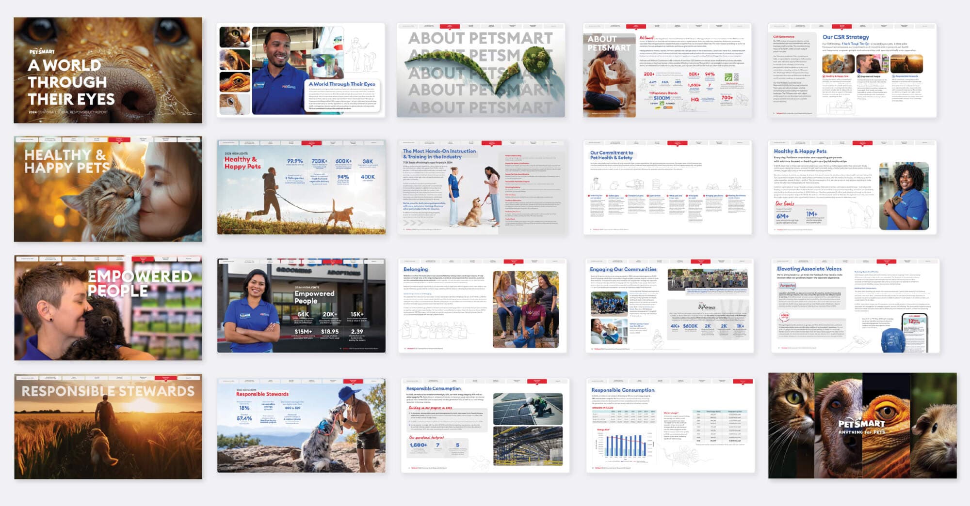 PetSmart’s CSR Report: Crafting a Story of Impact — PetSmart