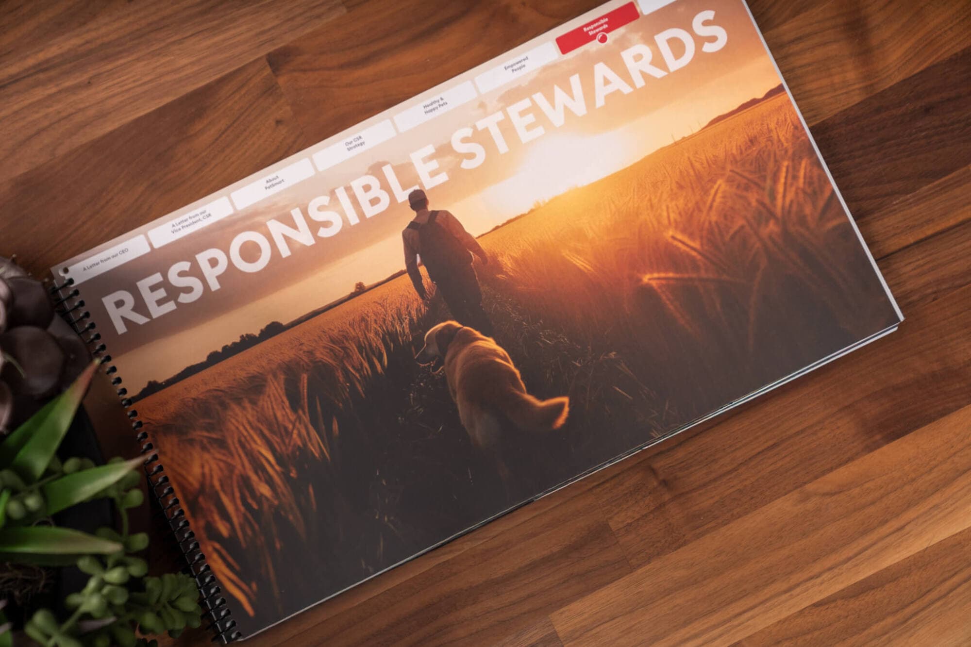 PetSmart’s CSR Report: Crafting a Story of Impact — PetSmart